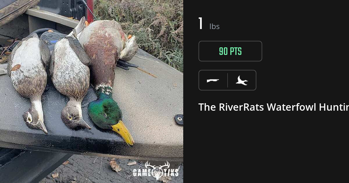 Waterfowl harvest on Gametiks