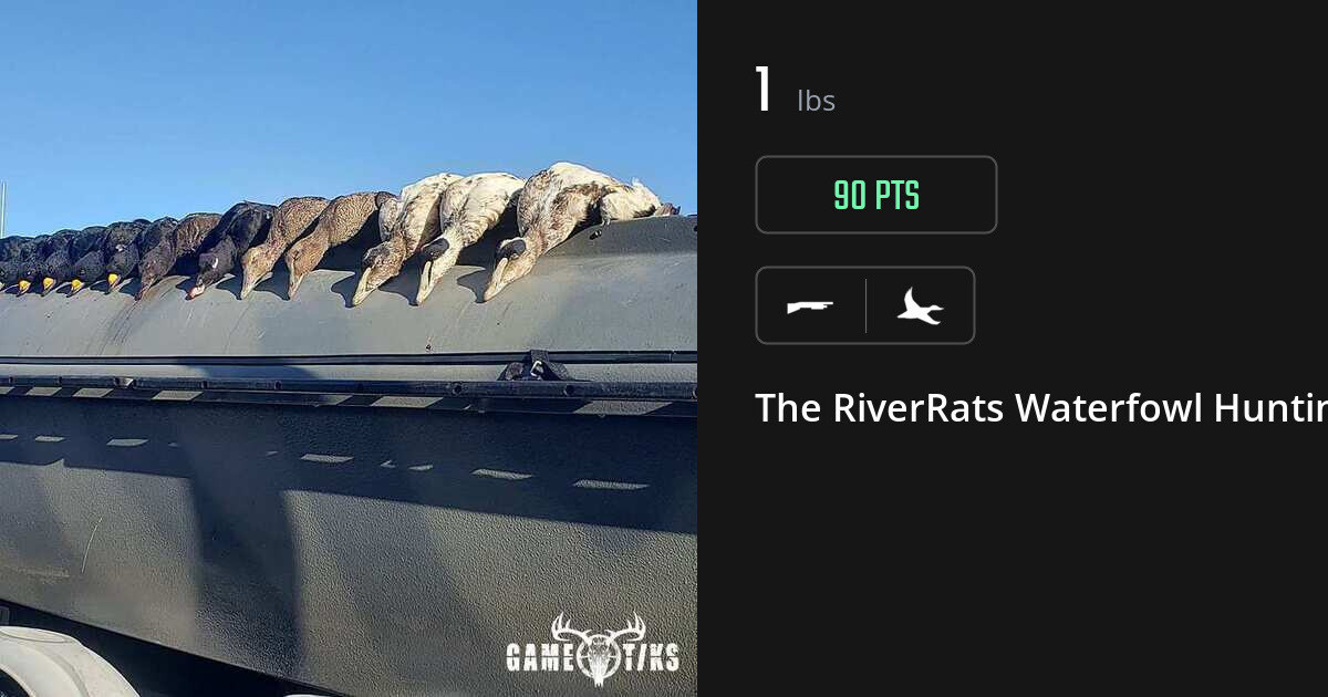 Waterfowl harvest on Gametiks