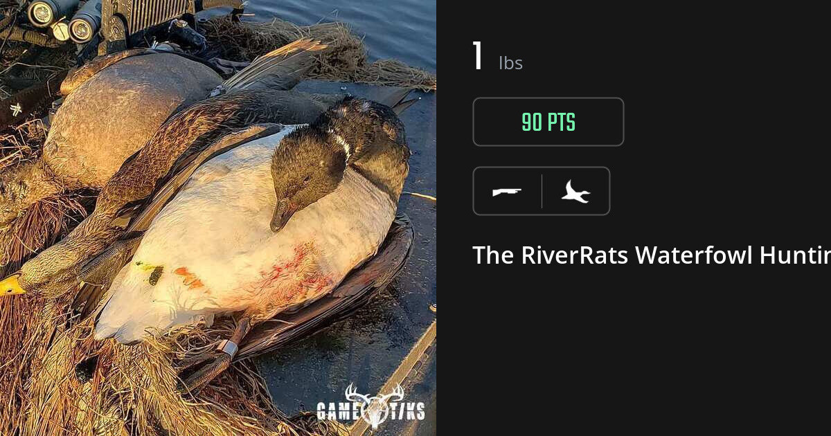 Waterfowl harvest on Gametiks