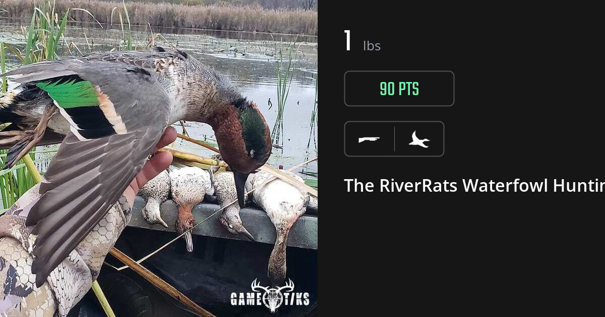 Waterfowl harvest on Gametiks