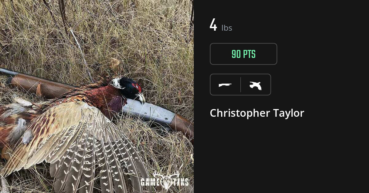 Upland bird harvest on Gametiks