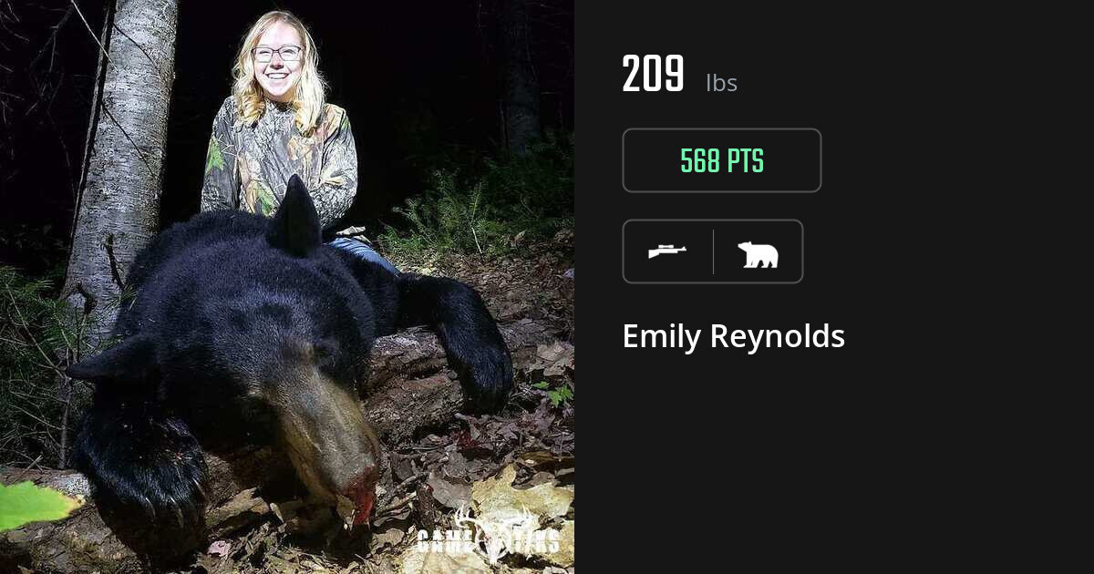 bear harvest by Emily Reynolds
