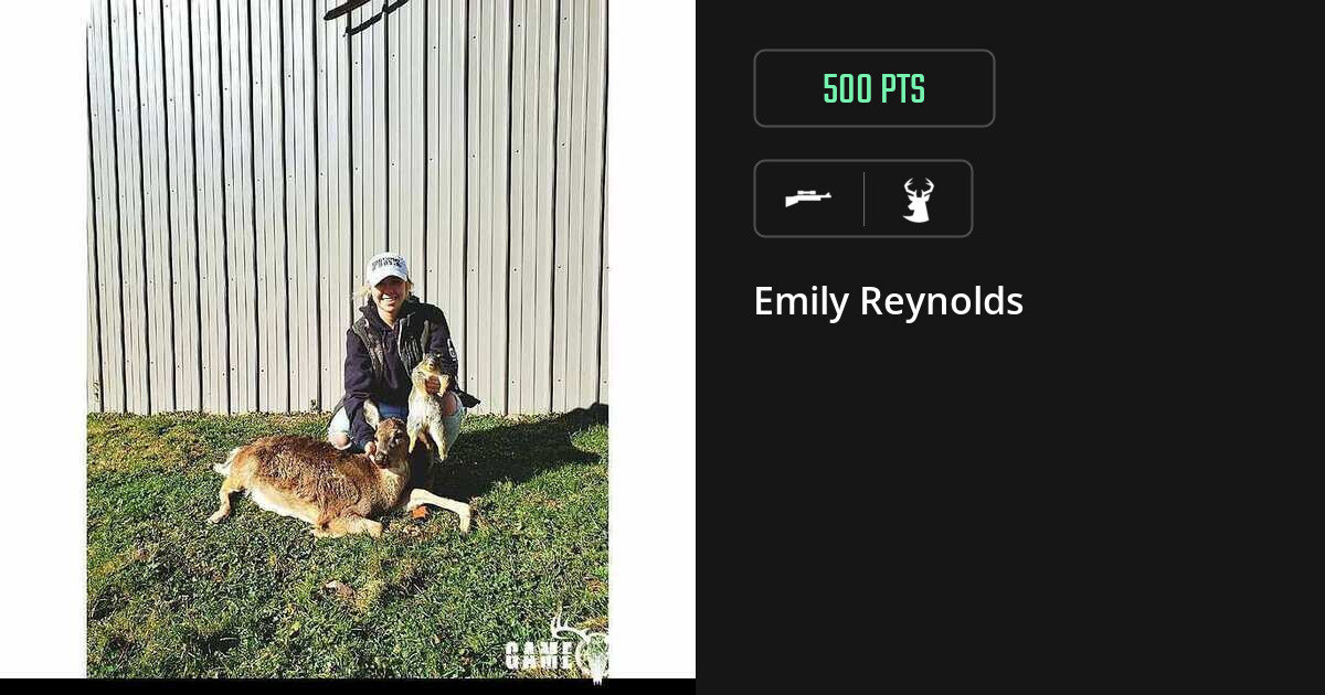deer harvest by Emily Reynolds