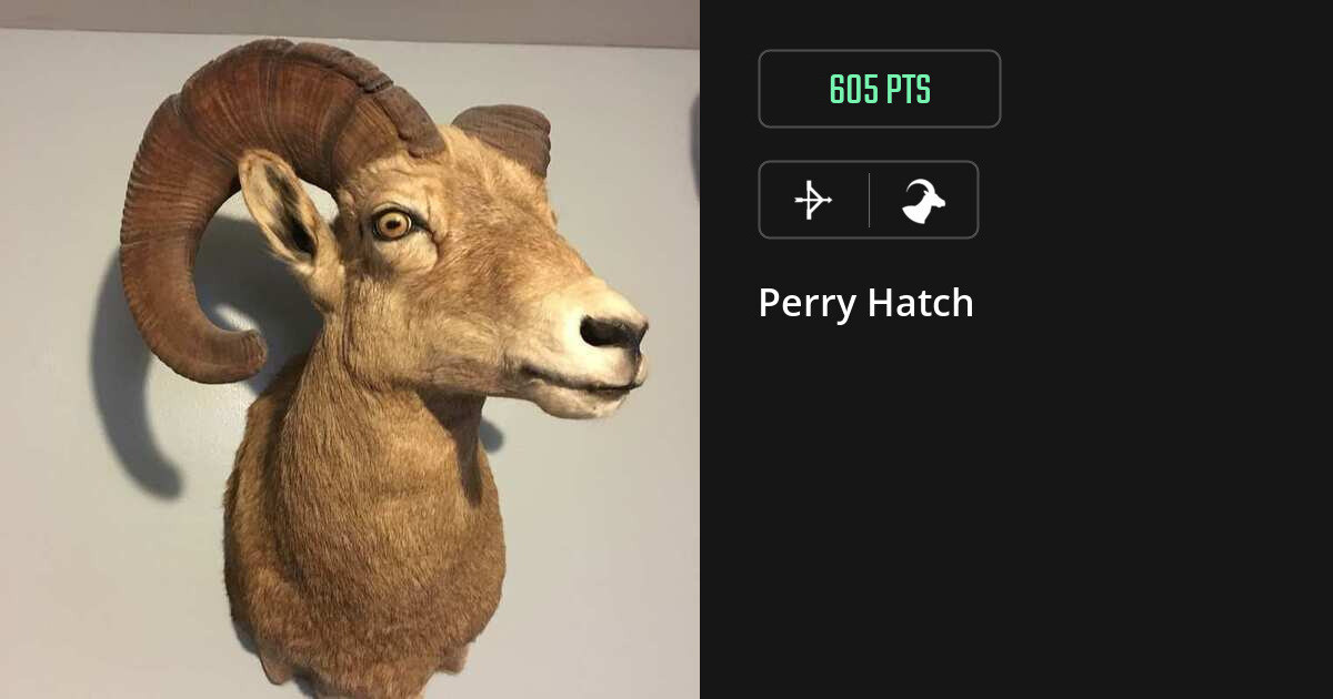 Bovid harvest on Gametiks