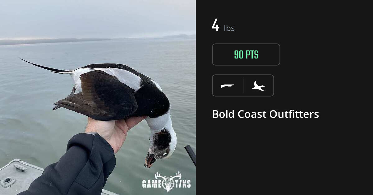 waterfowl harvest by Bold Coast Outfitters