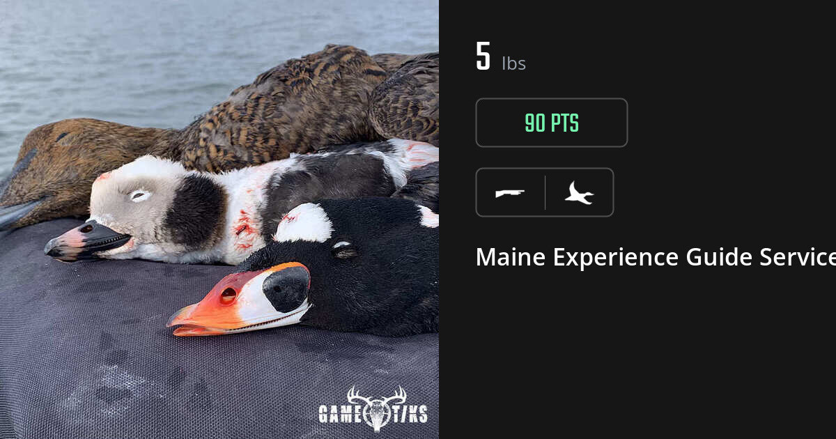 Waterfowl harvest on Gametiks