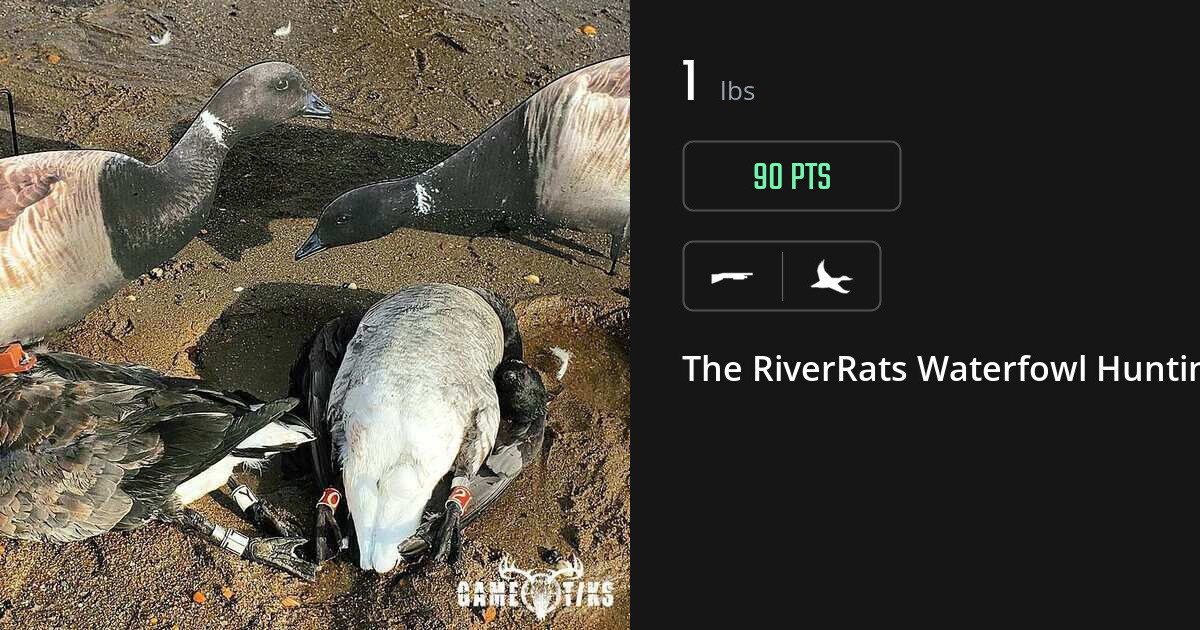 Waterfowl harvest on Gametiks
