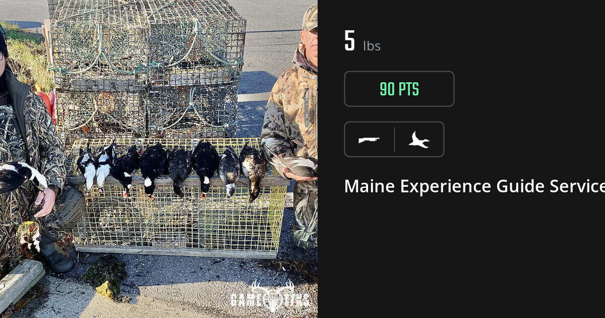 Waterfowl harvest on Gametiks