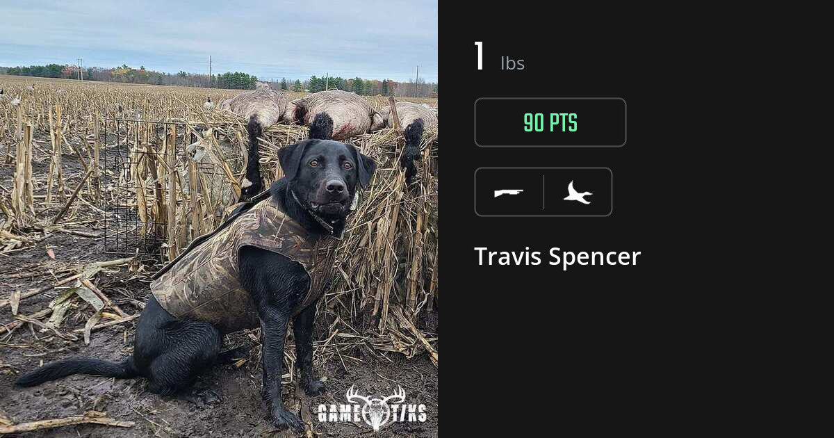 Waterfowl harvest on Gametiks