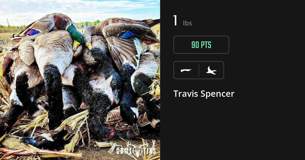 Waterfowl harvest on Gametiks