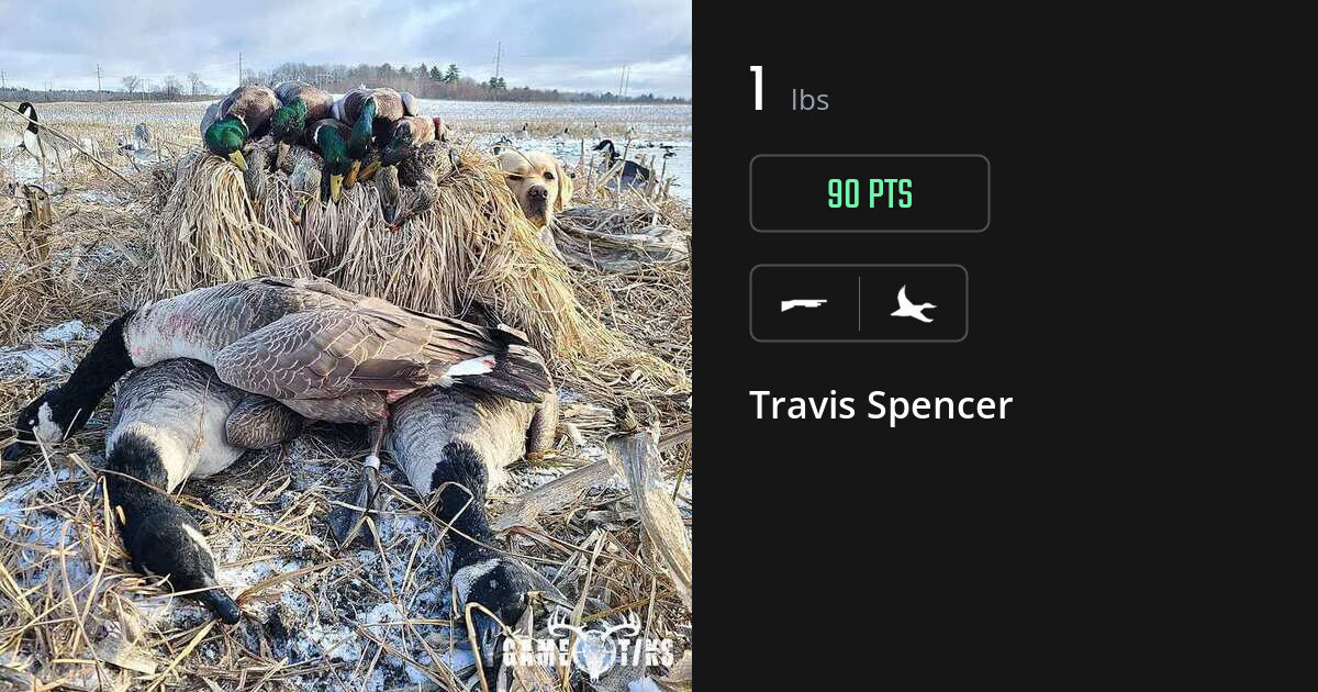 Waterfowl harvest on Gametiks