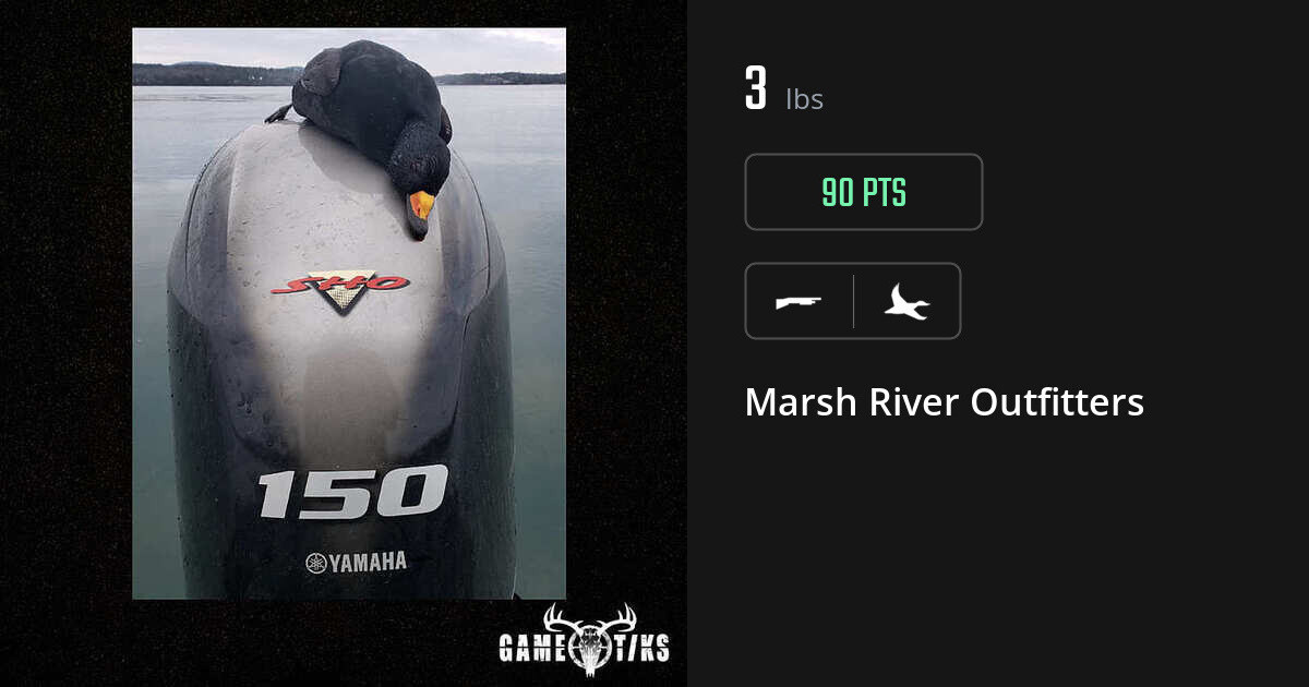 Waterfowl harvest on Gametiks