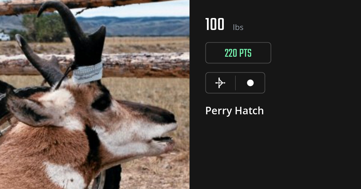 Miscellaneous harvest on Gametiks