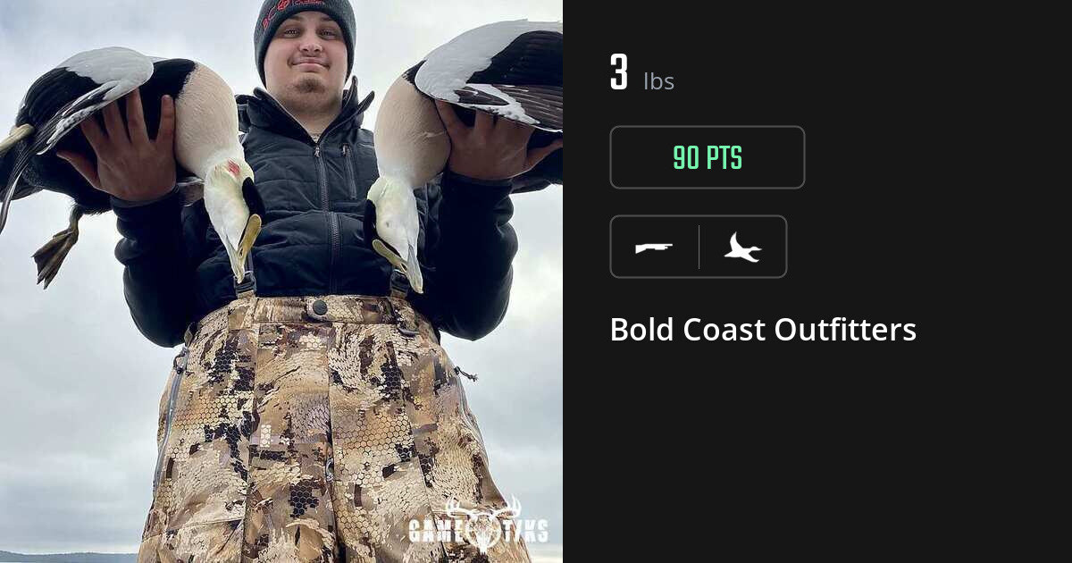 waterfowl harvest by Bold Coast Outfitters