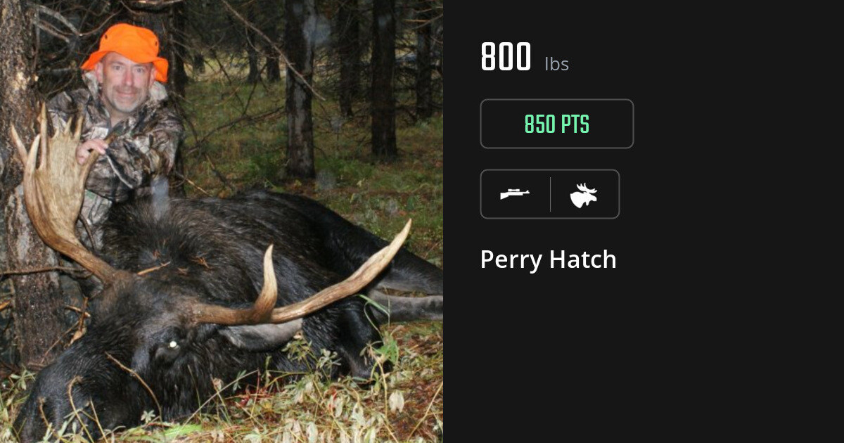 Moose harvest on Gametiks