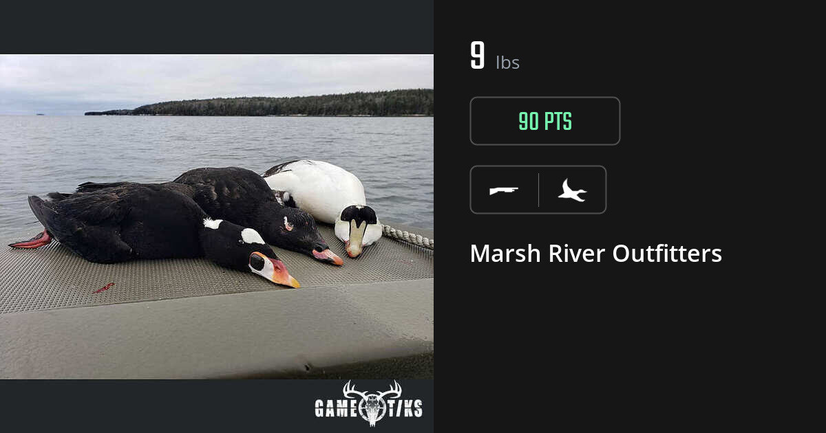 Waterfowl harvest on Gametiks