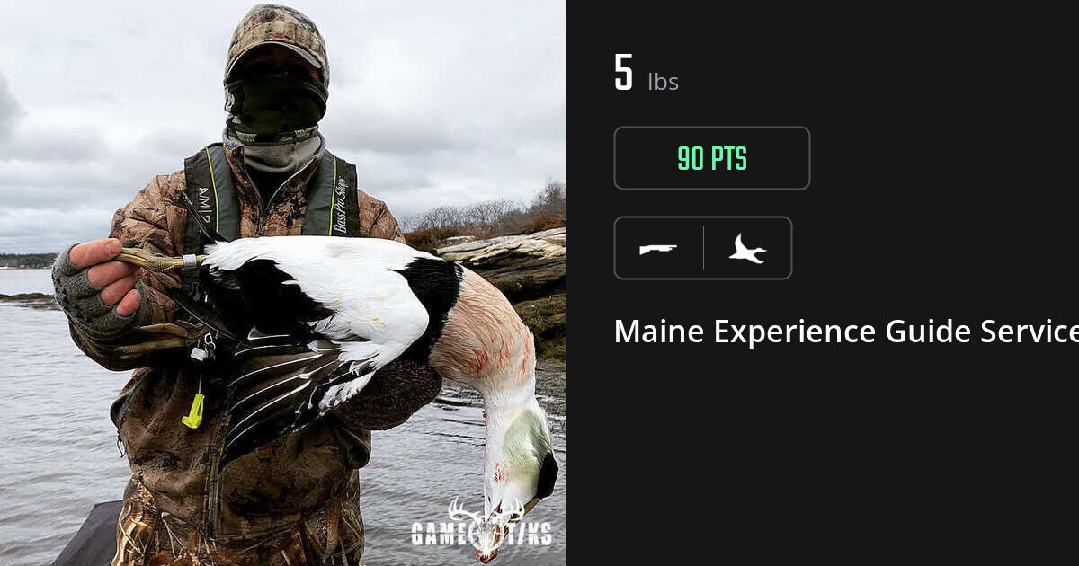 Waterfowl harvest on Gametiks
