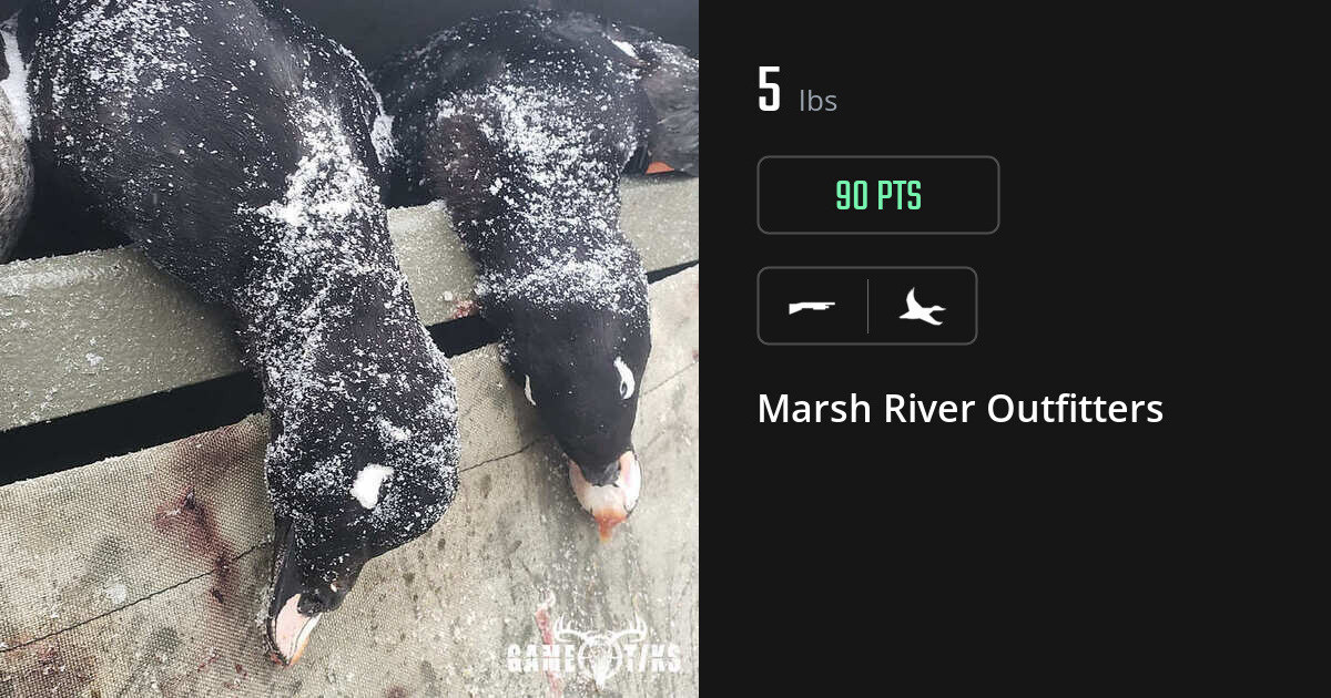 Waterfowl harvest on Gametiks