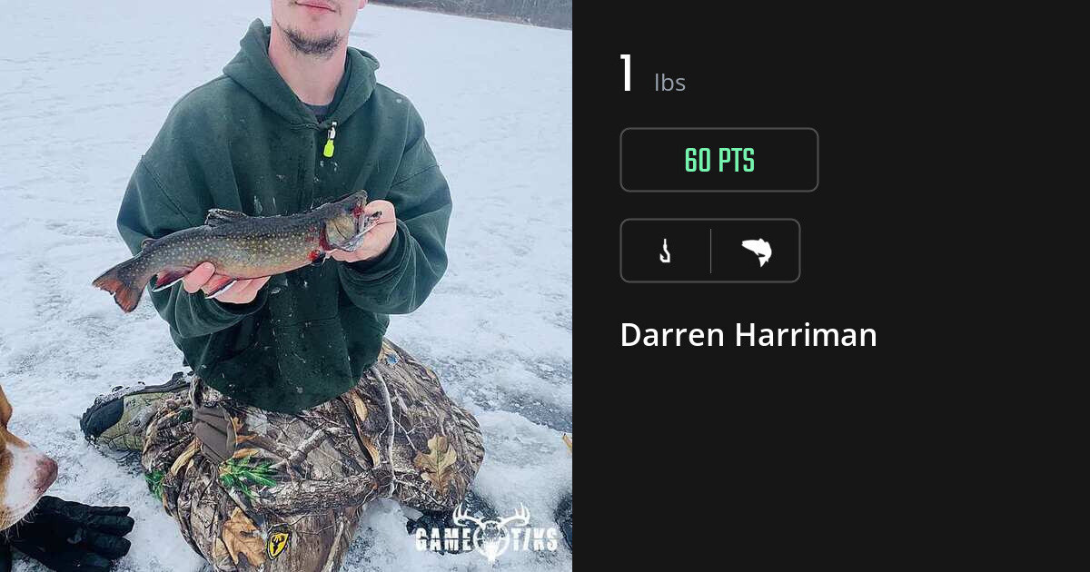 Saltwater fish harvest on Gametiks