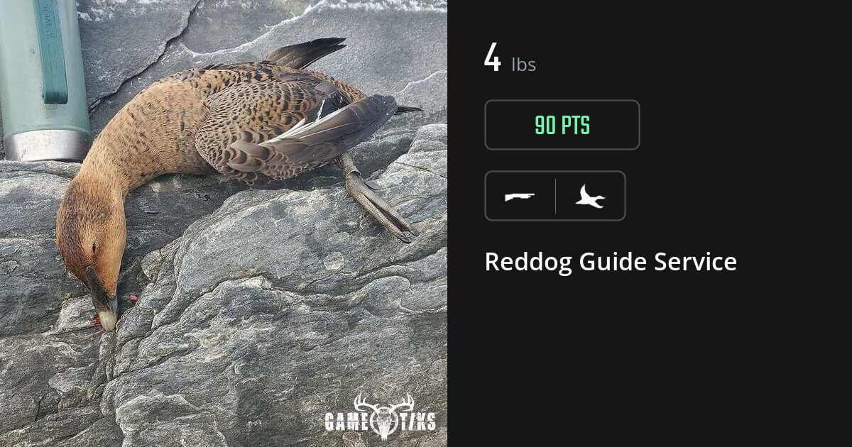 waterfowl harvest by Reddog Guide Service