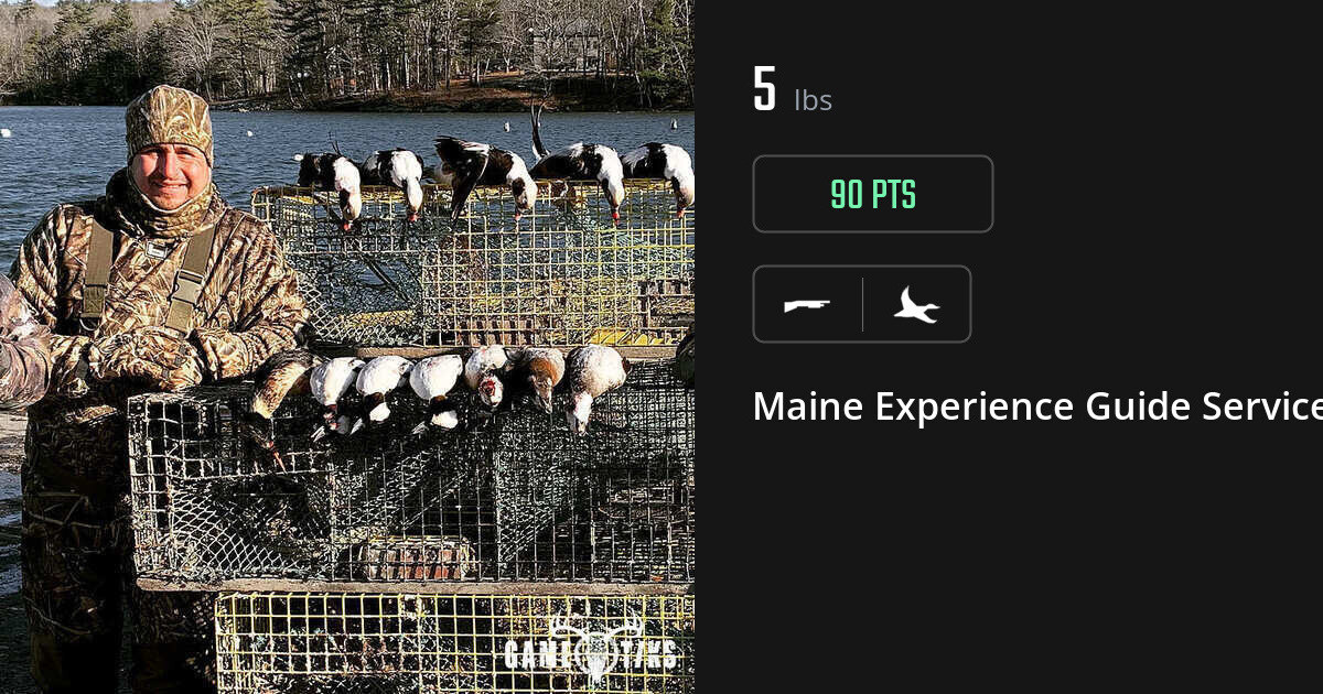 Waterfowl harvest on Gametiks