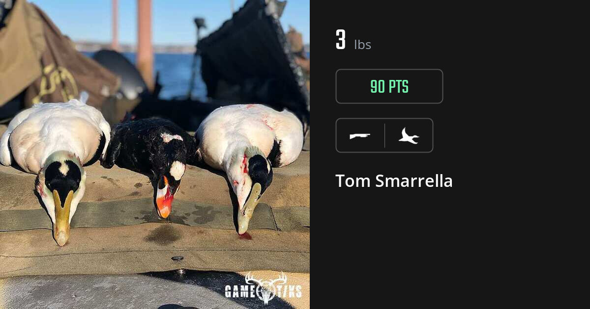 Waterfowl harvest on Gametiks
