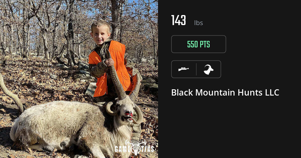 Bovid harvest on Gametiks