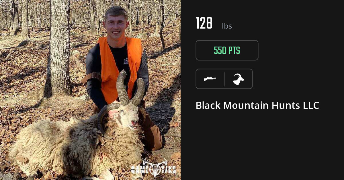 Bovid harvest on Gametiks