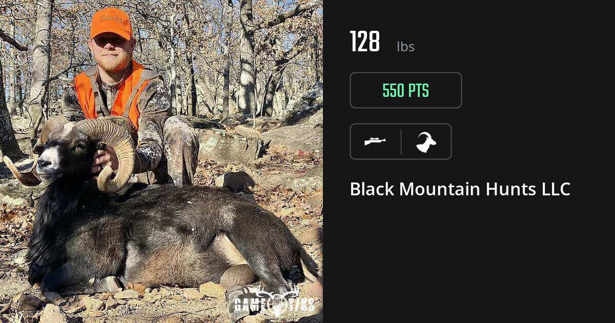Bovid harvest on Gametiks
