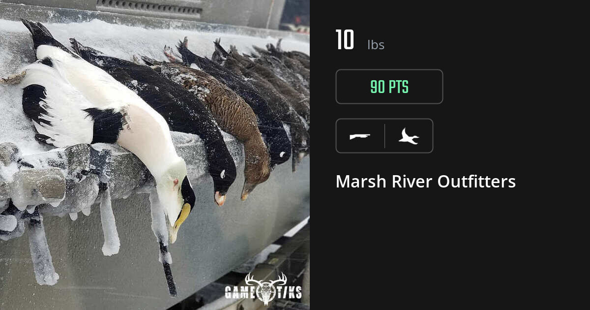 Waterfowl harvest on Gametiks
