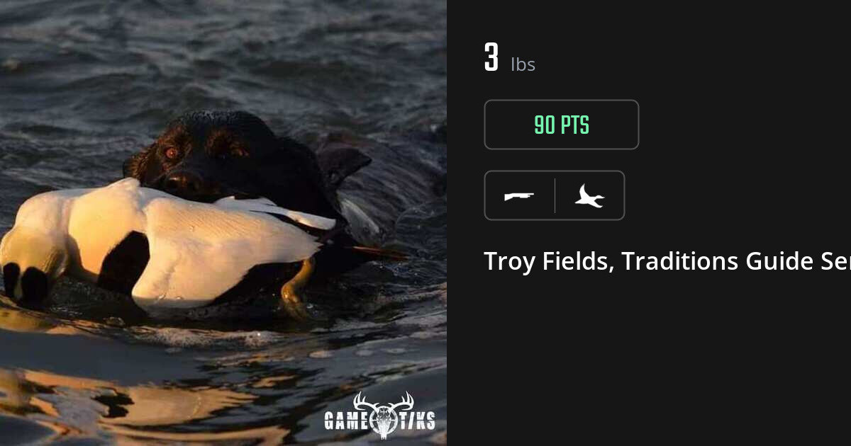 Waterfowl harvest on Gametiks