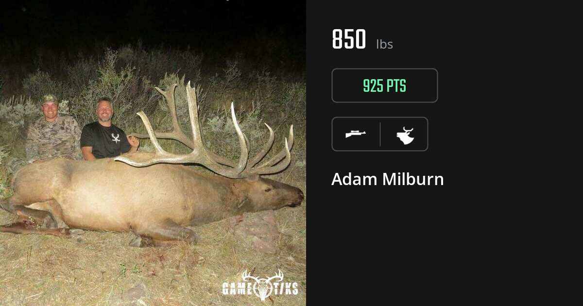 elk harvest by Adam Milburn