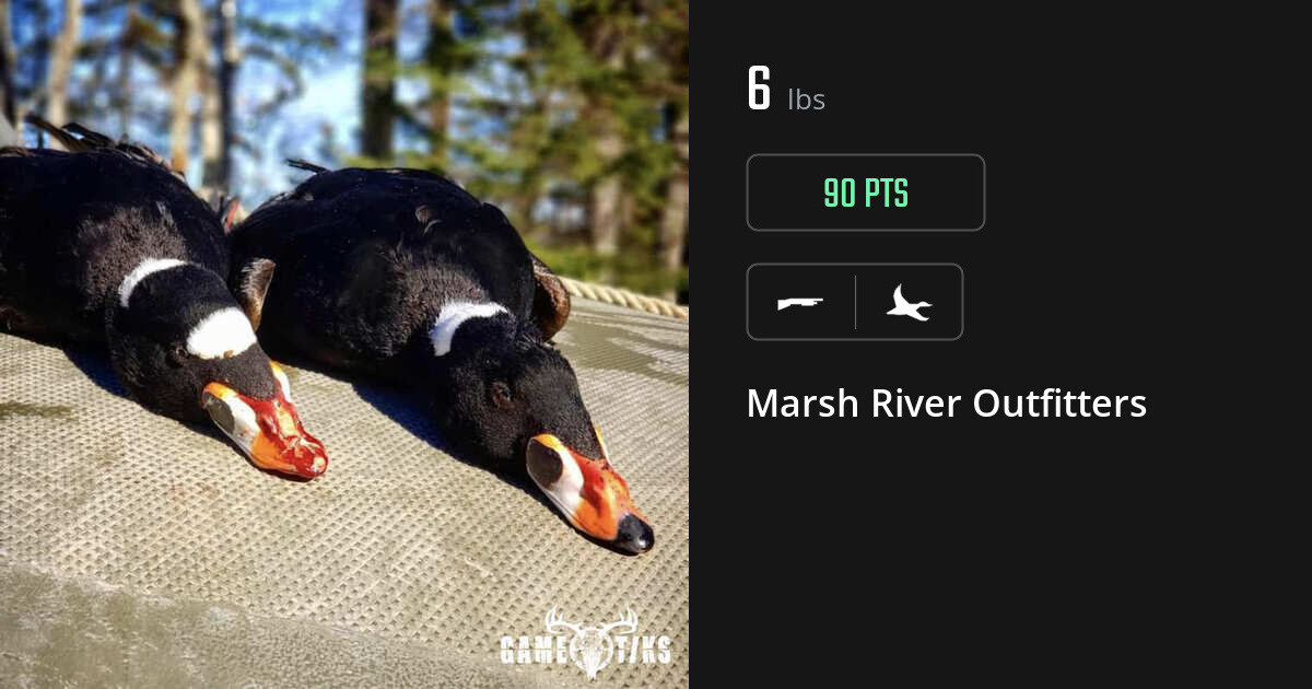 Waterfowl harvest on Gametiks