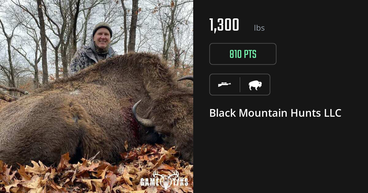 Buffalo harvest on Gametiks