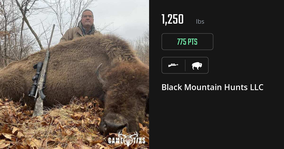 Buffalo harvest on Gametiks