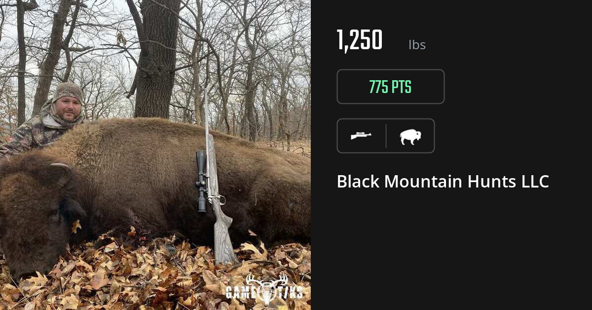 Buffalo harvest on Gametiks