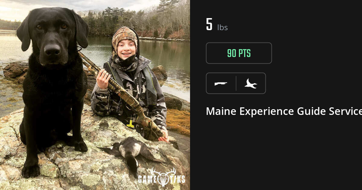Waterfowl harvest on Gametiks