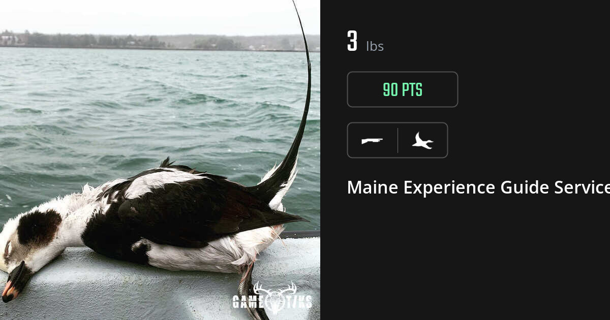 Waterfowl harvest on Gametiks