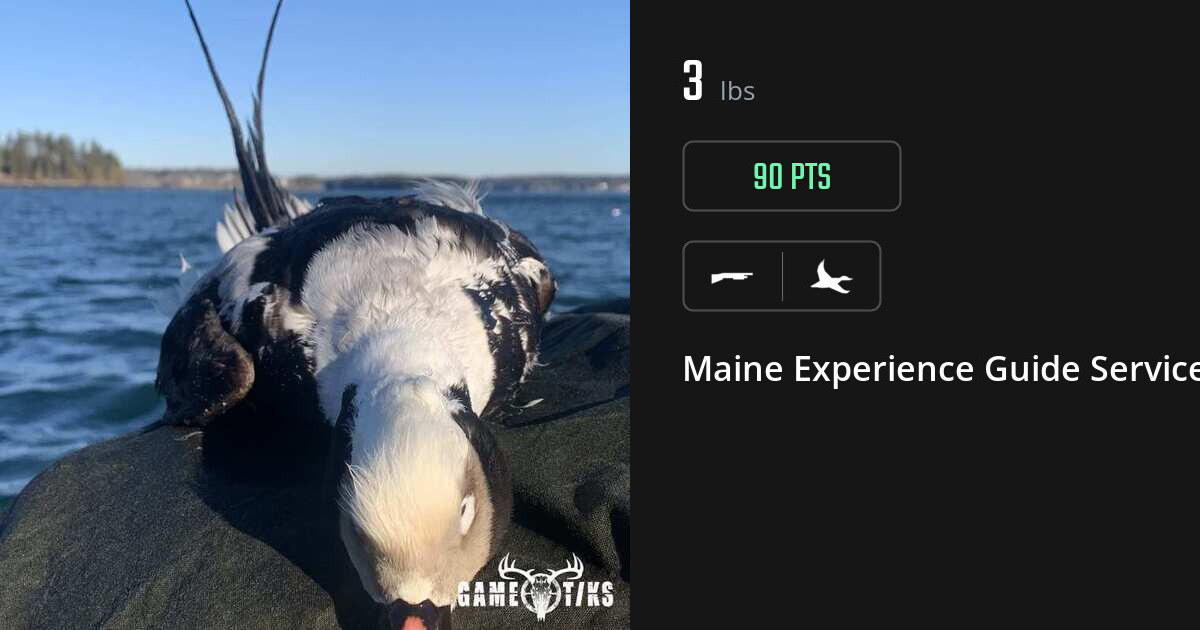 Waterfowl harvest on Gametiks