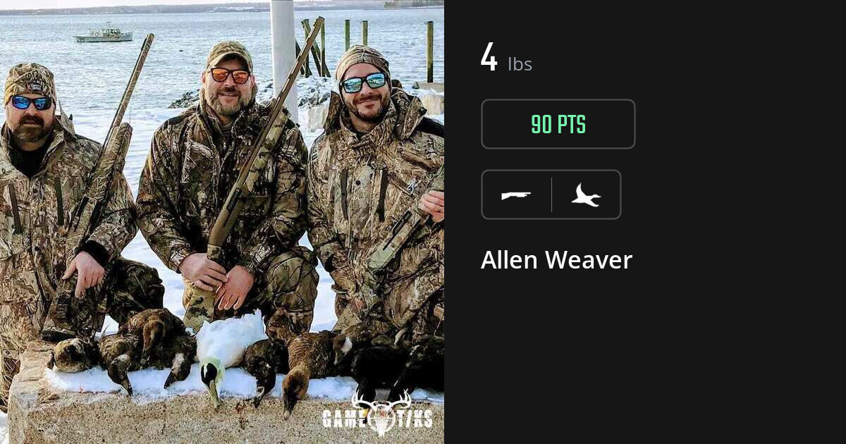 waterfowl harvest by Allen Weaver