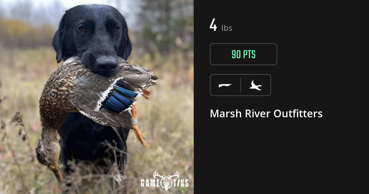 Waterfowl harvest on Gametiks