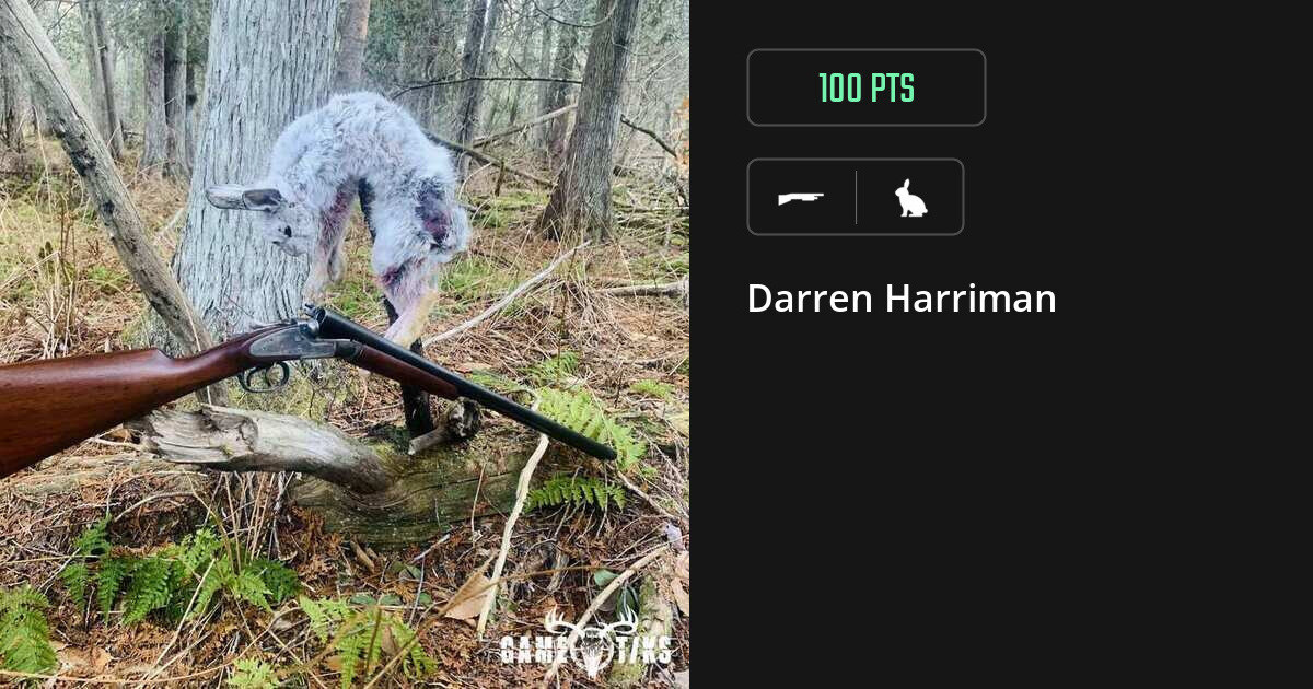 Rabbit harvest on Gametiks