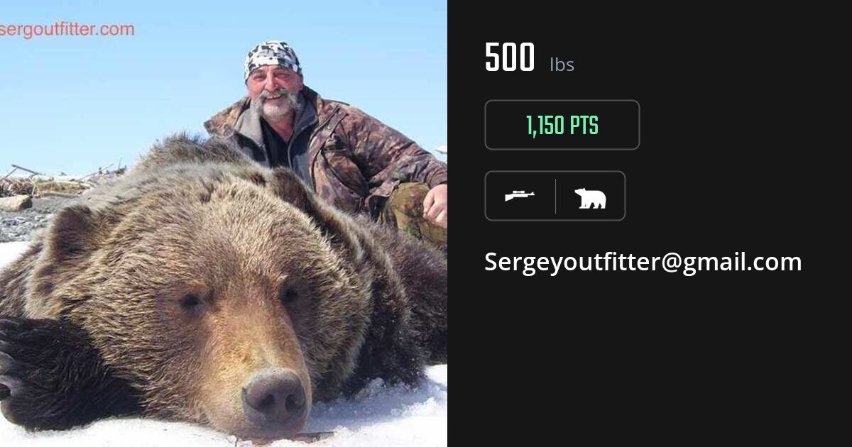 Bear harvest on Gametiks