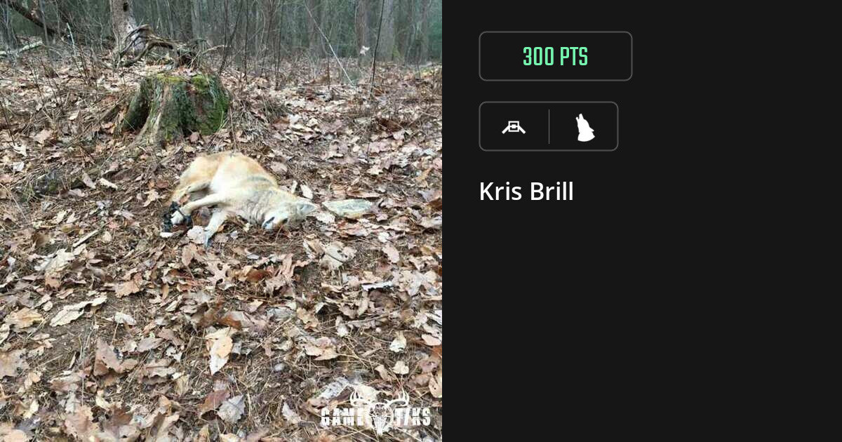 Canine harvest on Gametiks