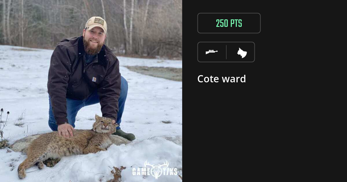 feline harvest by Cote ward