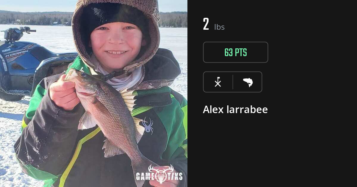Saltwater fish harvest on Gametiks