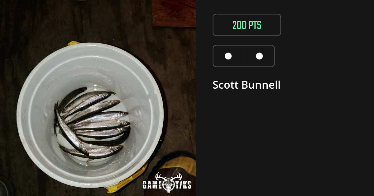 Miscellaneous harvest on Gametiks