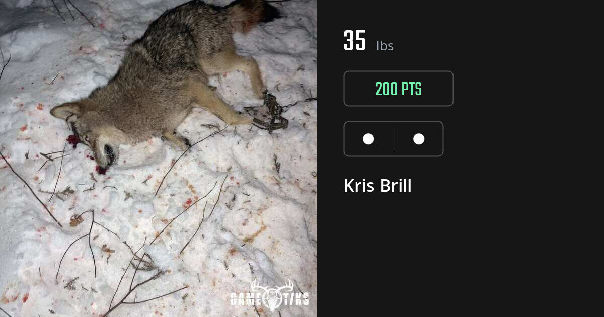 Miscellaneous harvest on Gametiks