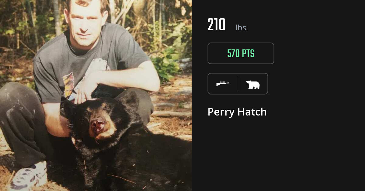 Bear harvest on Gametiks