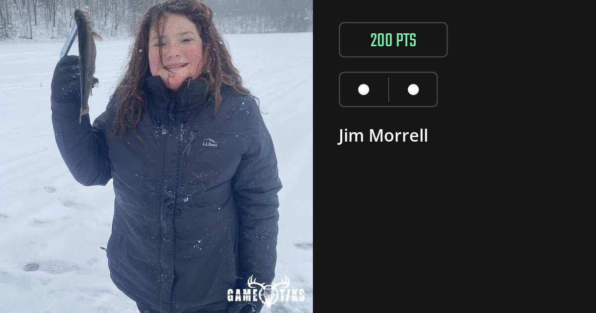 miscellaneous harvest by Jim Morrell